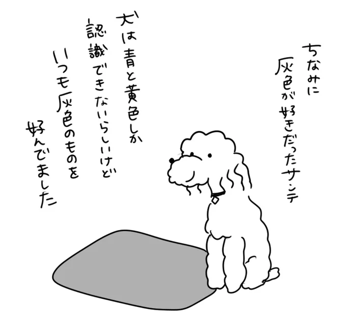 『おはよう、サンテ 不登校の私を救った愛犬との日々』 15014614.webp