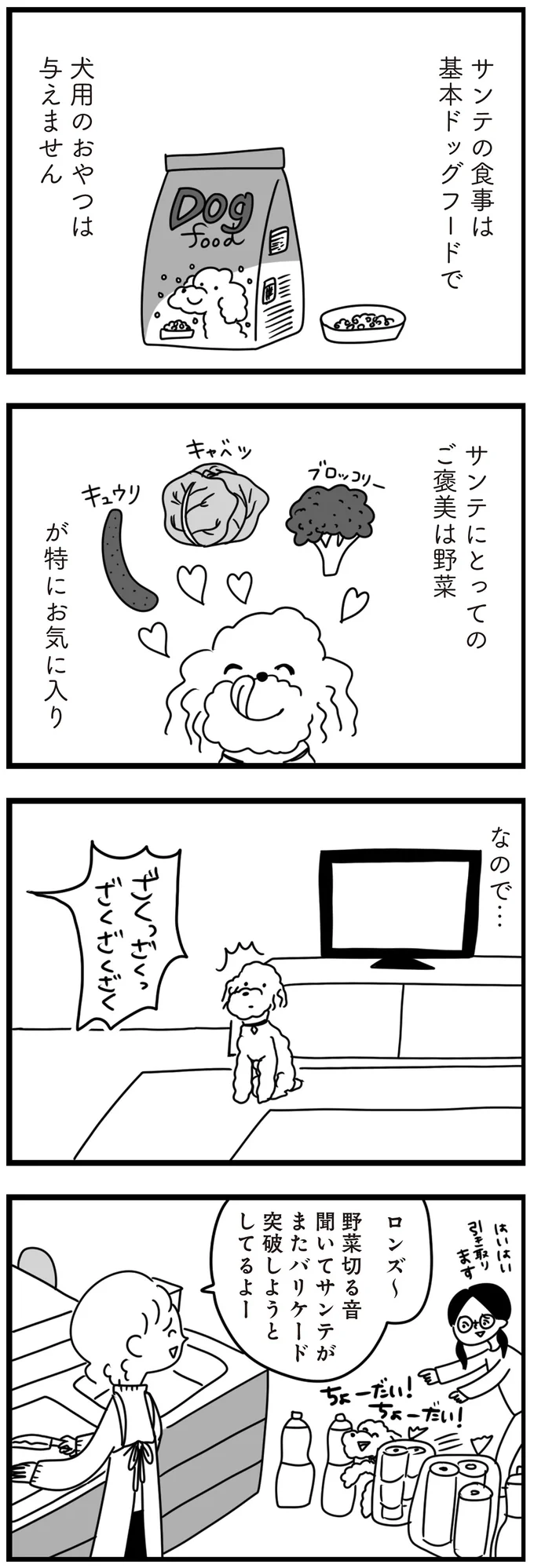 うちの子犬は「吠えない」けど「うるさい」。母のしつけは成功...なのかな?/おはよう、サンテ 15014640.webp