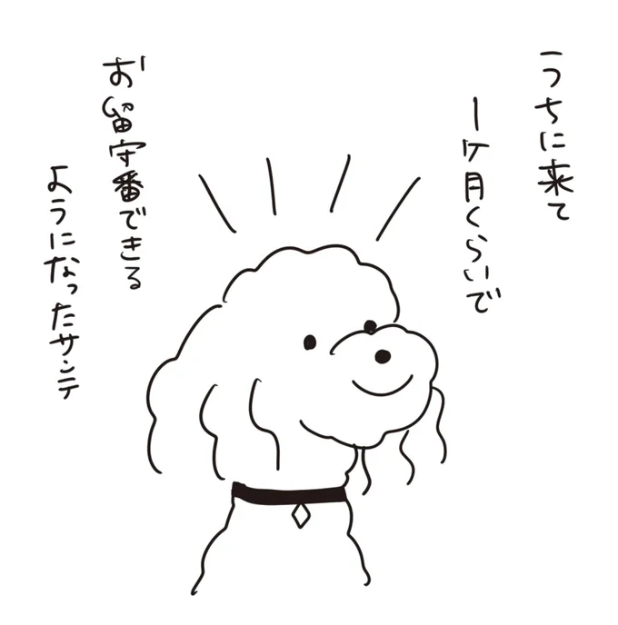 『おはよう、サンテ 不登校の私を救った愛犬との日々』 15014731.webp