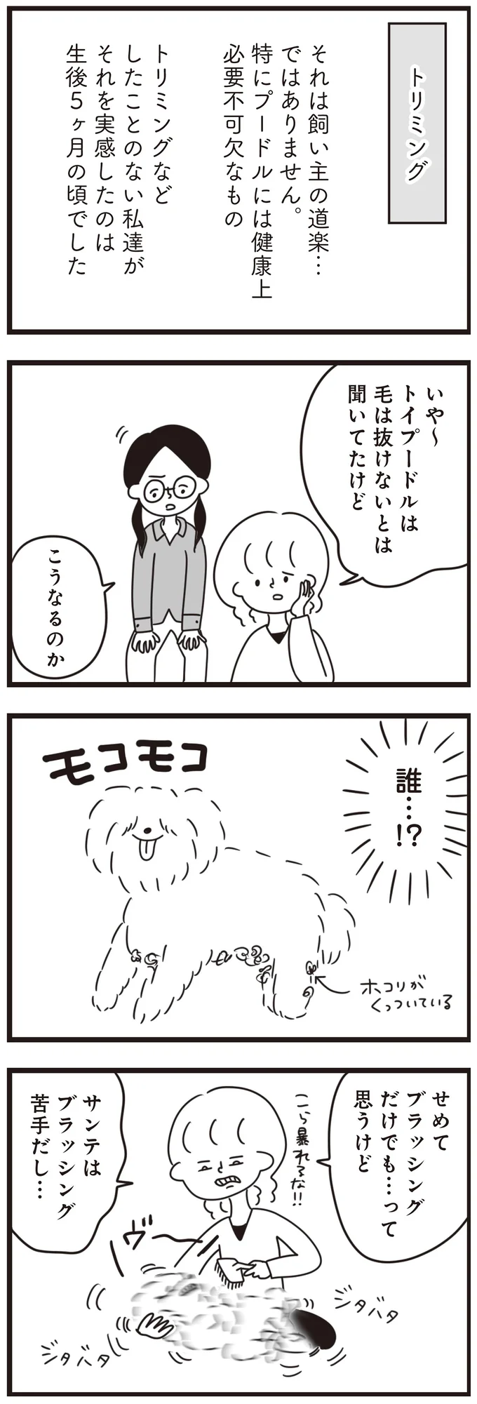 トイプーには重要なトリミング。ブラッシング嫌いな愛犬を放置していたら/おはよう、サンテ 15014747.webp