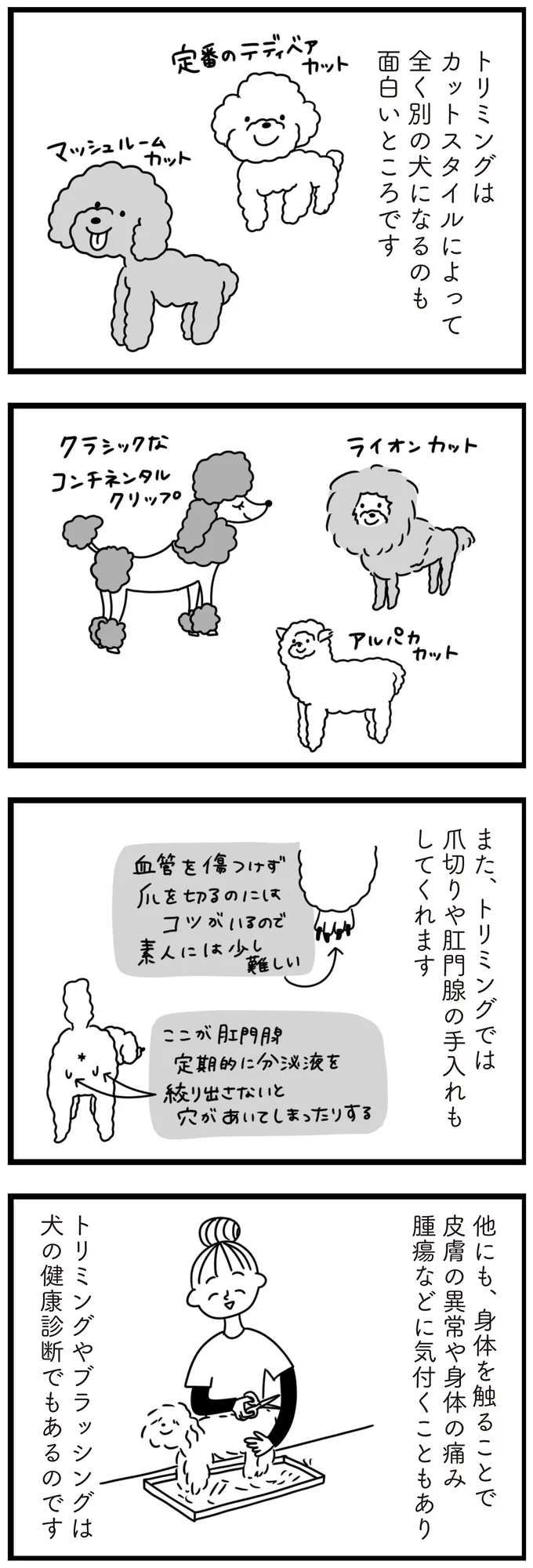 『おはよう、サンテ 不登校の私を救った愛犬との日々』 15014749.webp