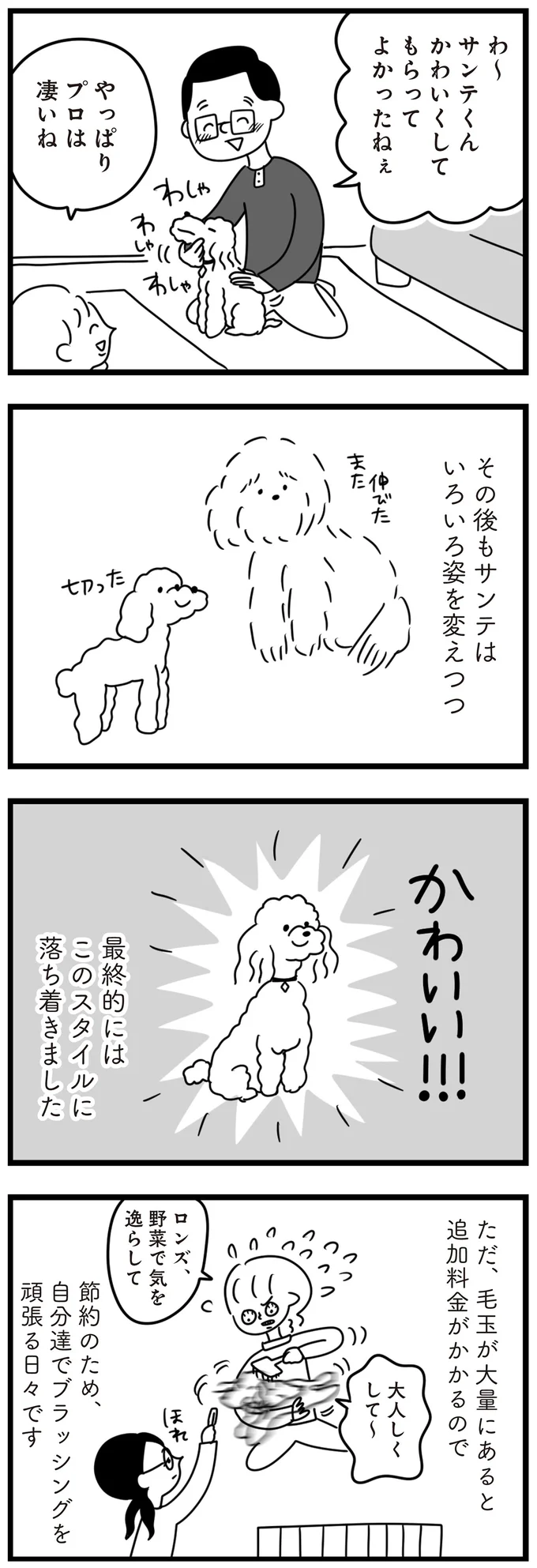 『おはよう、サンテ 不登校の私を救った愛犬との日々』 15014750.webp