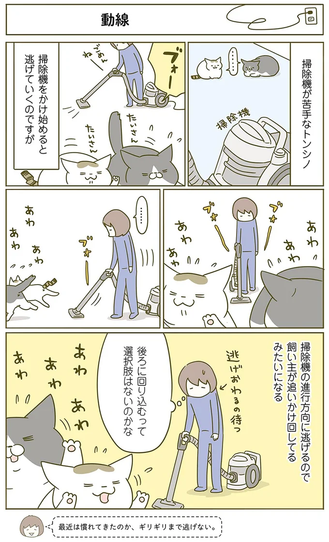 『うちの猫がまた変なことしてる。』1～4 15058895.webp