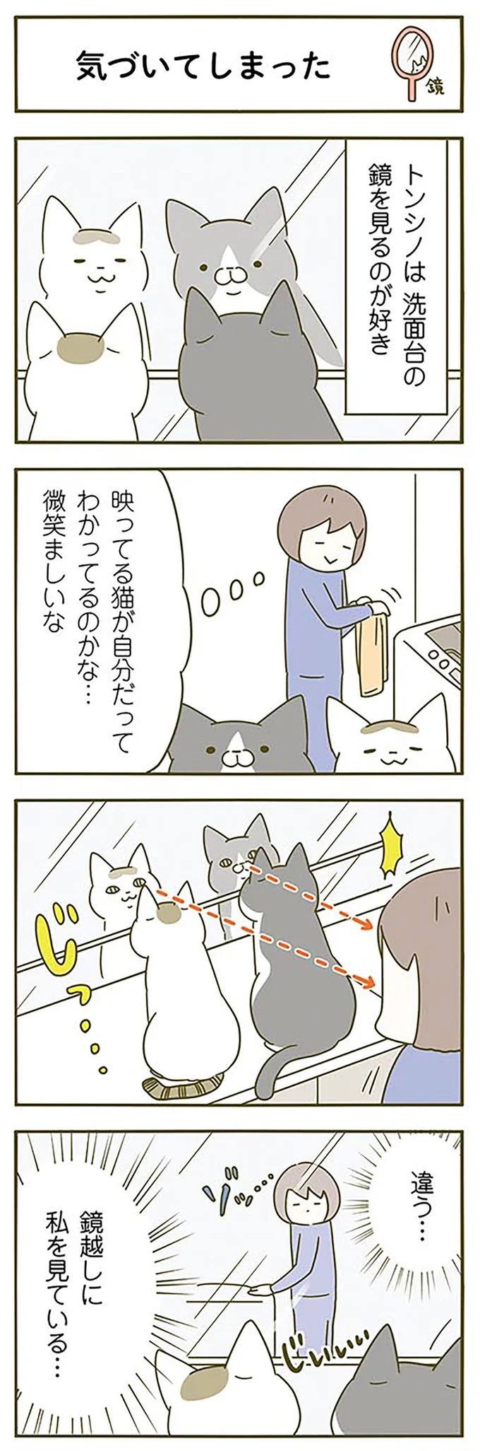 鏡を見るのが好きな猫。目線を追ったら...見ていたものにゾッ！／うちの猫がまた変なことしてる。2 15059290.webp