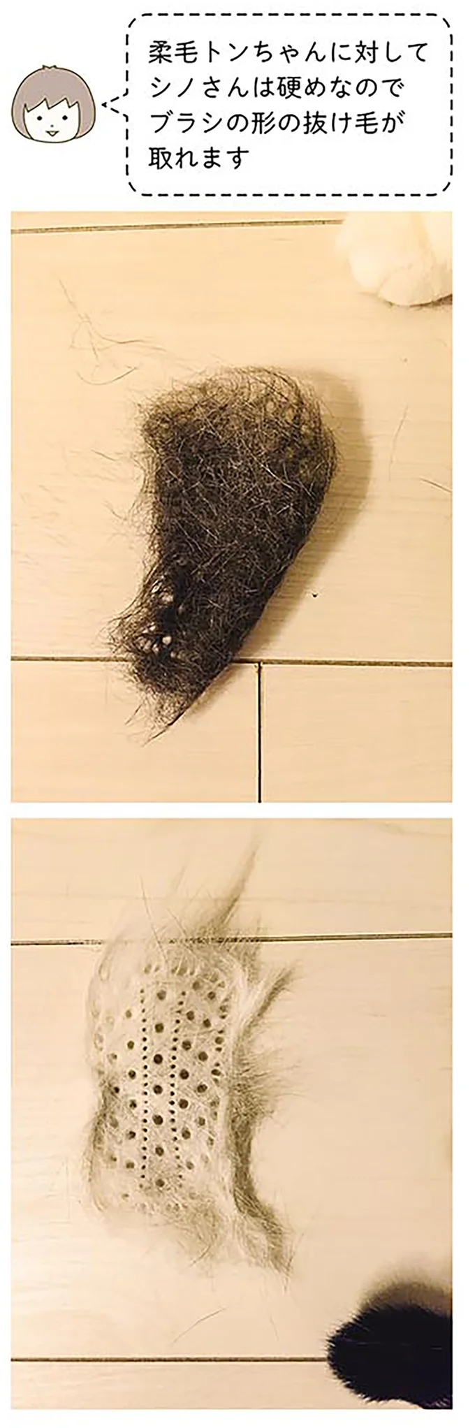 『うちの猫がまた変なことしてる。』1～4 15059609.webp