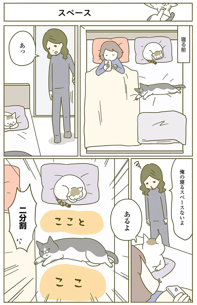 『うちの猫がまた変なことしてる。』1～4 15059926.webp