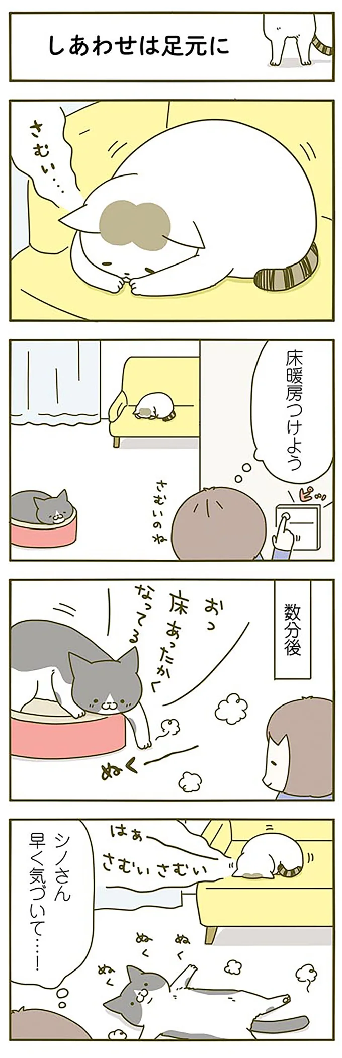 猫のため床暖房をつけた飼い主。なかなか暖かさに気付いてくれなくて.../うちの猫がまた変なことしてる。2 15060620.webp