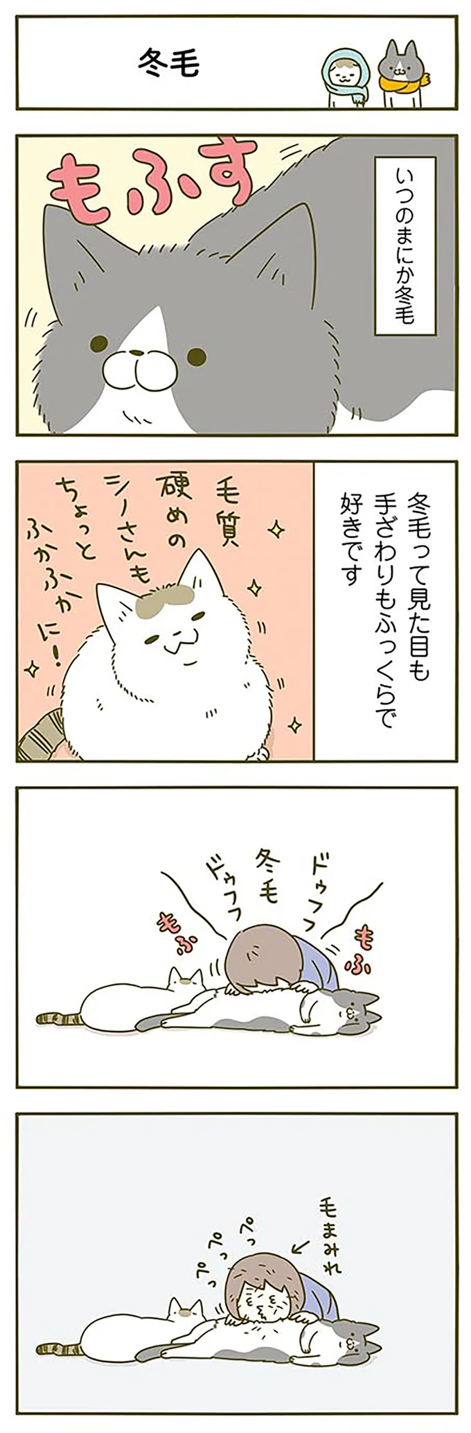 猫のため床暖房をつけた飼い主。なかなか暖かさに気付いてくれなくて...／うちの猫がまた変なことしてる。2 15060623.webp