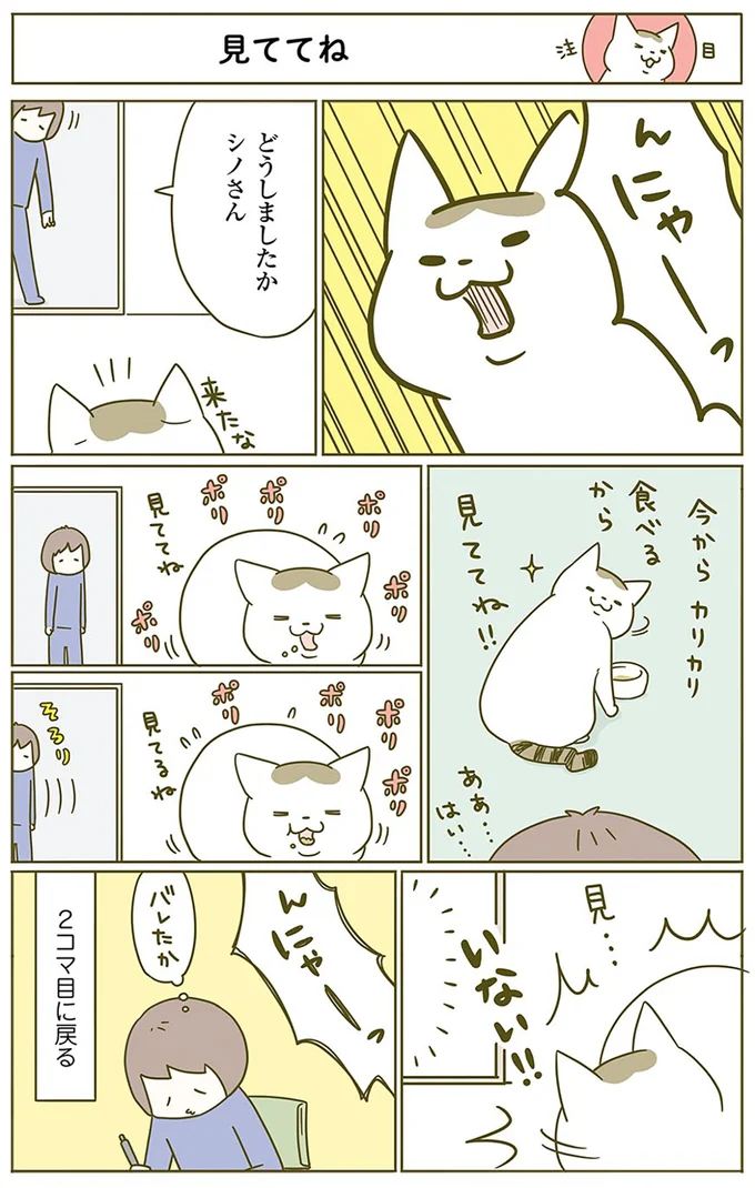 食べる様子を見ていてほしい猫。飼い主がそっといなくなると...!?/うちの猫がまた変なことしてる。2 15060938.webp