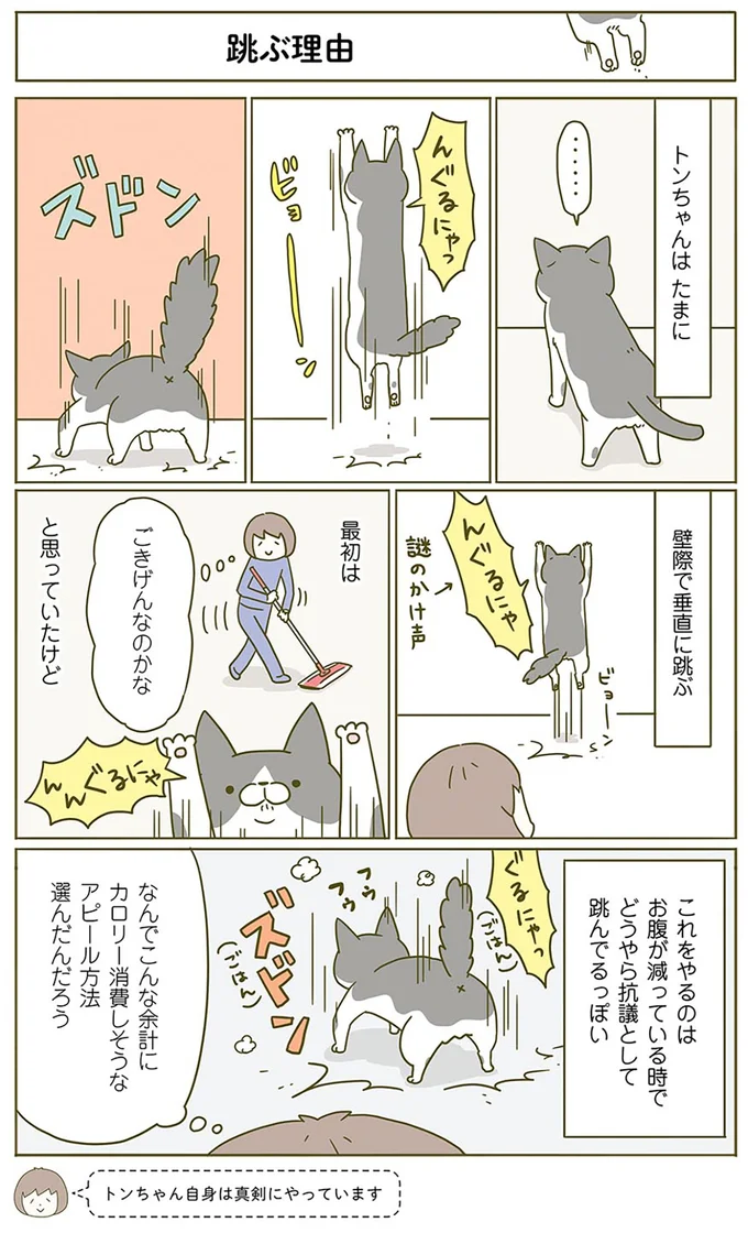 食べる様子を見ていてほしい猫。飼い主がそっといなくなると...!?／うちの猫がまた変なことしてる。2 15060939.webp