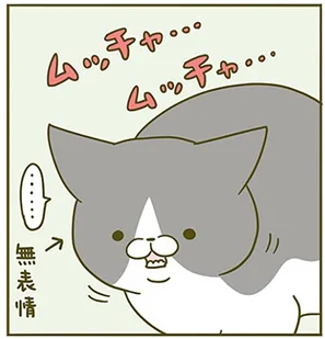 無表情で魚を食べる猫。どうやらいらなかったみたいで...こんな「表情」に／うちの猫がまた変なことしてる。2
