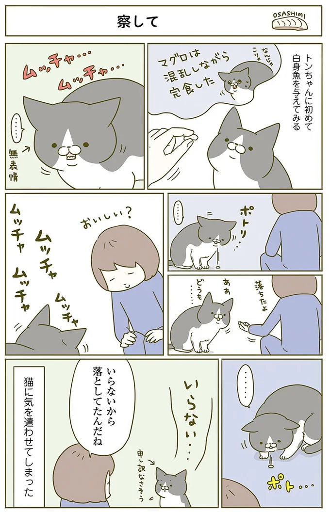 無表情で魚を食べる猫。どうやらいらなかったみたいで...こんな「表情」に／うちの猫がまた変なことしてる。2 15061256.webp