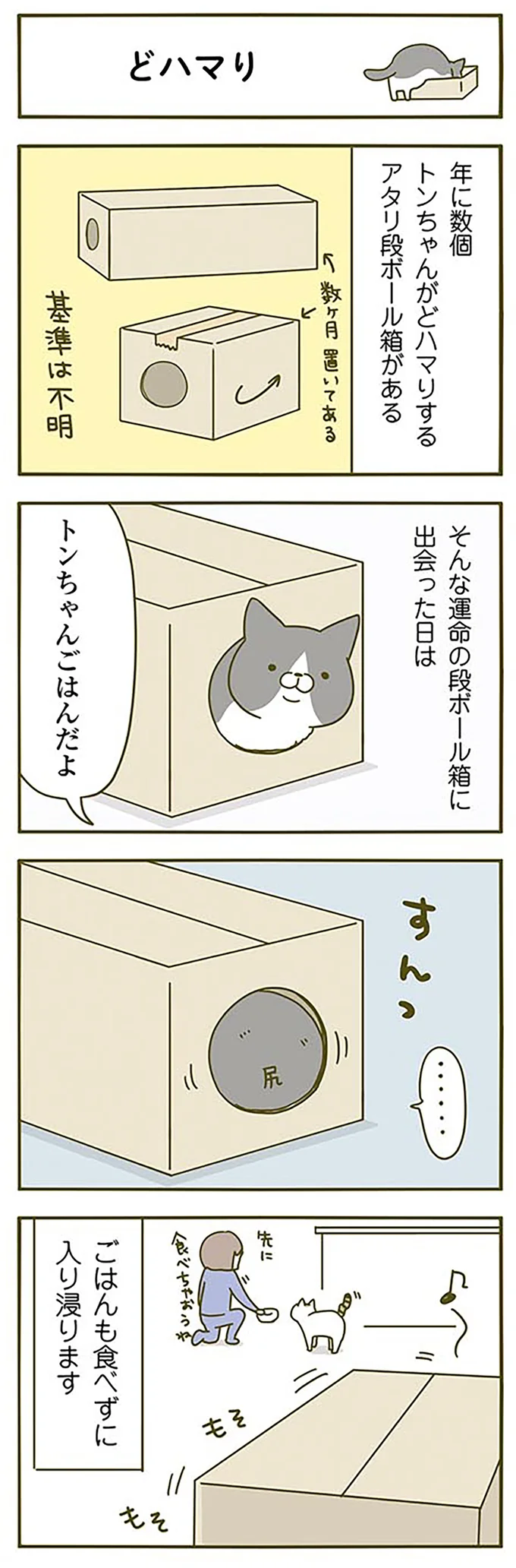 「運命の出会い」をした猫。ごはんも食べずに.../うちの猫がまた変なことしてる。2 15061265.webp