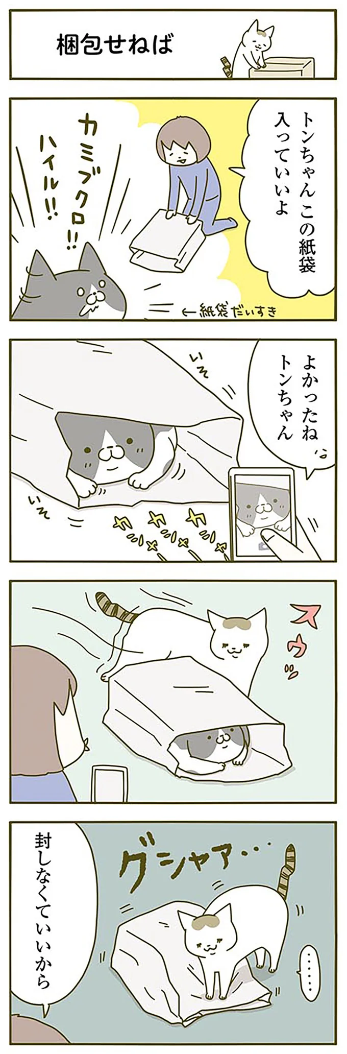 『うちの猫がまた変なことしてる。』1～4 15061269.webp