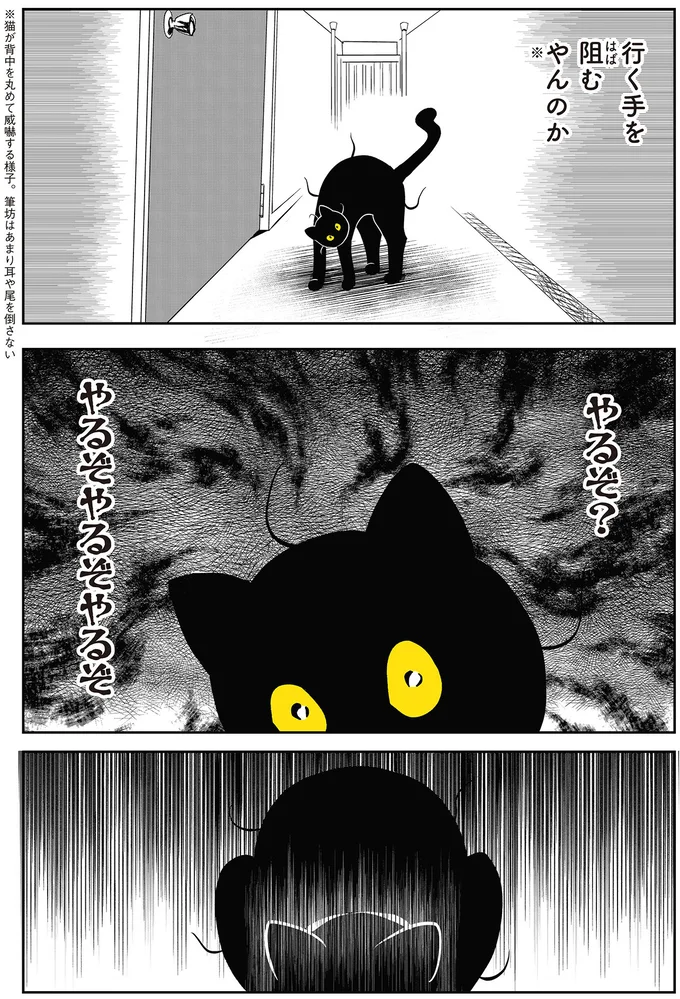 『筆坊日記』 15072286.webp