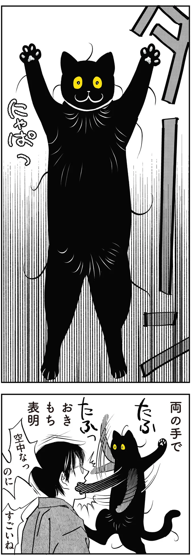 『筆坊日記』 15072287.webp