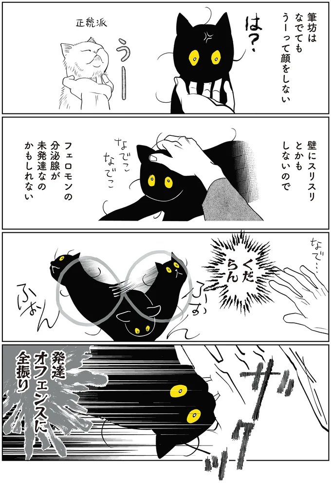 『筆坊日記』 15072288.webp