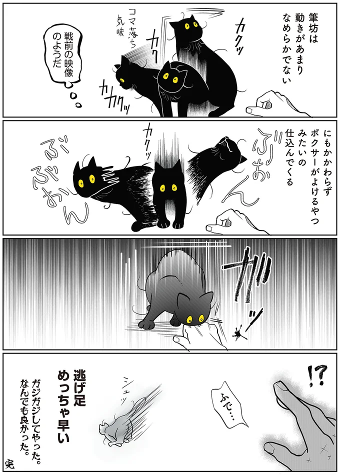 うちの猫の趣味は「人を驚かすこと」。驚かなかったら...あああ／筆坊日記 15072332.webp