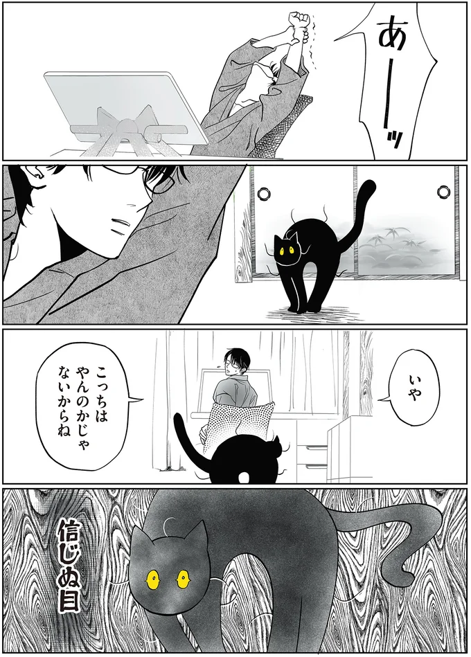 のびをした飼い主に猫が「やんのか？」ポーズで応戦。その気はないよと伝えても...／筆坊日記 15072373.webp