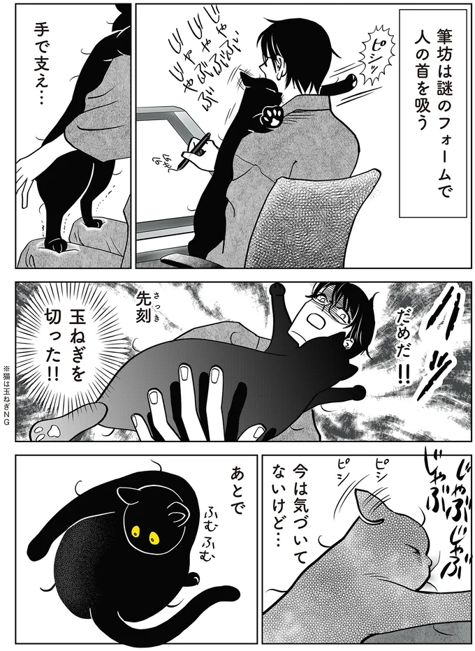 愛猫が倒れないように。猫とおそろいの謎フォームで2時間耐え続けた飼い主／筆坊日記 15072474.webp