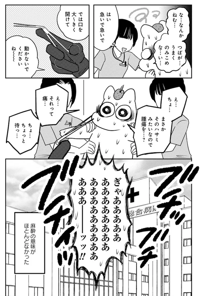 『ママ5年目でがんなんて 手に入れた卵子と失った味覚』 15080545.webp