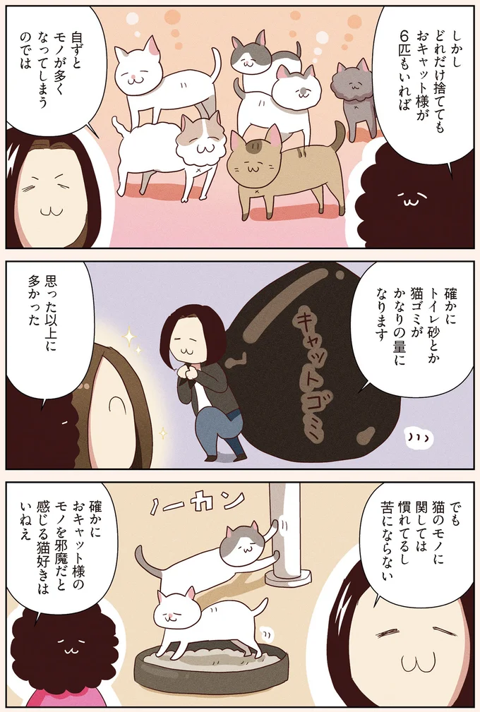 「断捨離」で大事なこと。「散らかる」のは当然で、何より気を付けるべきことは...／オタクの断捨離 15103574.webp