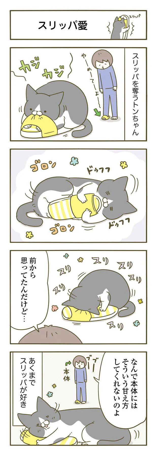 猫が嬉しそうスリスリ。なぜ「本体」には甘えてくれないのか／うちの猫がまた変なことしてる。3 15129709.webp
