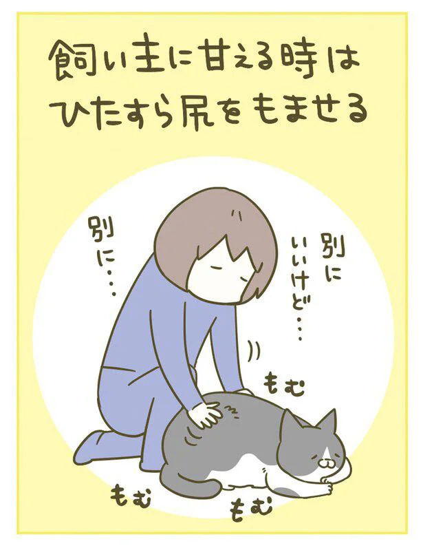 『うちの猫がまた変なことしてる。』1～4 15129710.webp