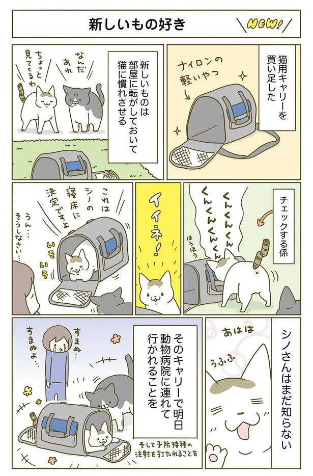 『うちの猫がまた変なことしてる。』1～4 15129714.webp
