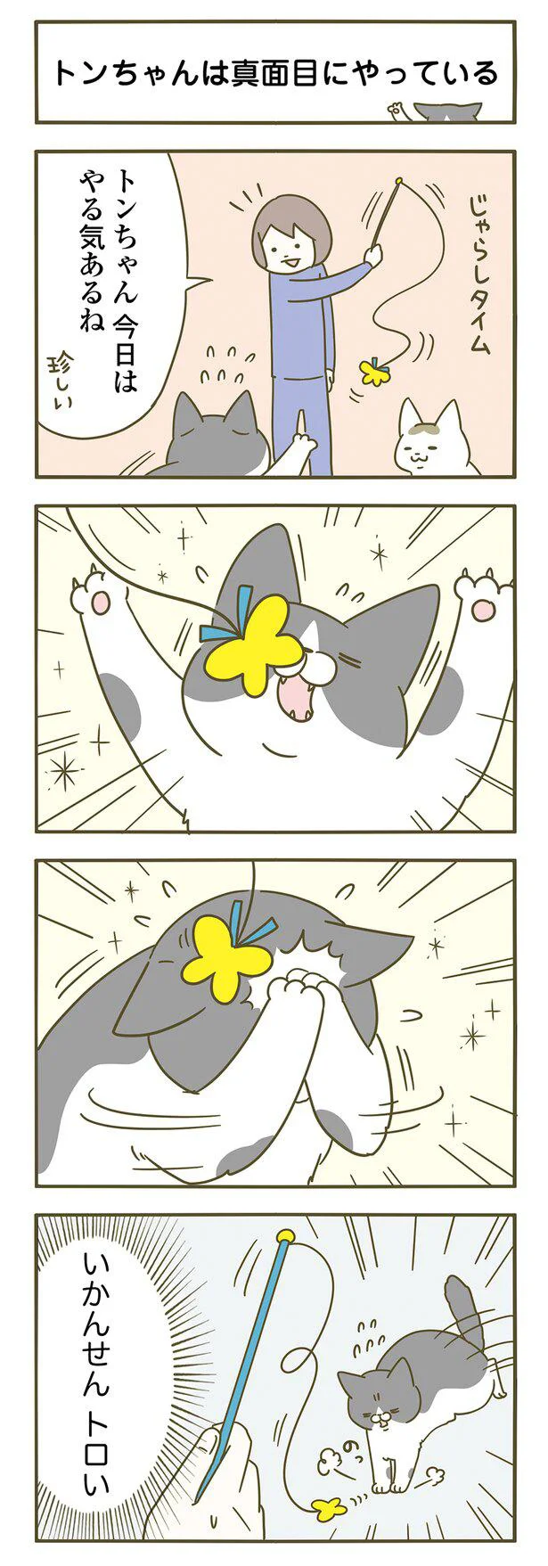 『うちの猫がまた変なことしてる。』1～4 15129728.webp