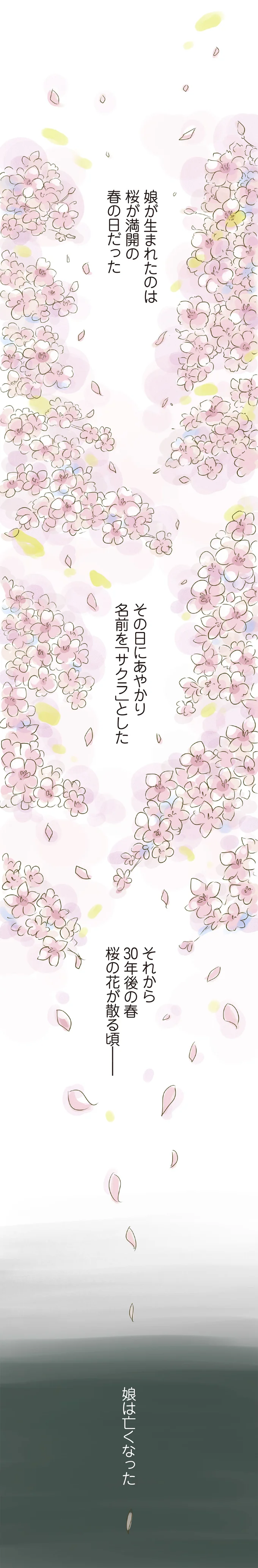30歳の若さで旅立った娘。3歳の孫を託された70歳のおじいの決断／ハルとゲン 15161505.webp