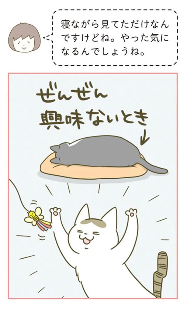 『うちの猫がまた変なことしてる。』1～4 15164003.webp