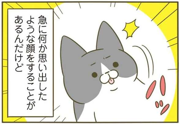 猫は急に「何か思い出した顔」をする。ただその後は...／うちの猫がまた変なことしてる。4