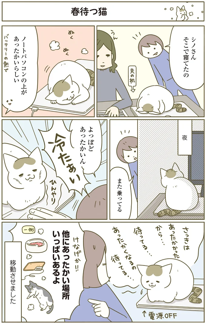 『うちの猫がまた変なことしてる。』1～4 15183171.webp