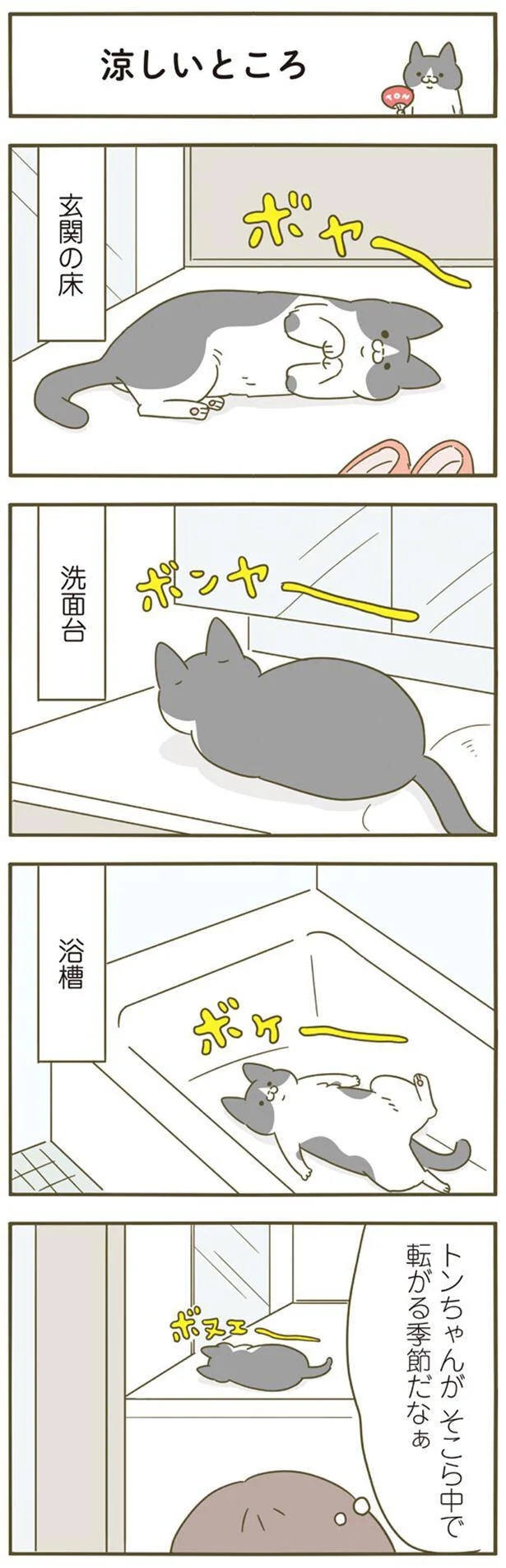 『うちの猫がまた変なことしてる。』1～4 15183196.webp