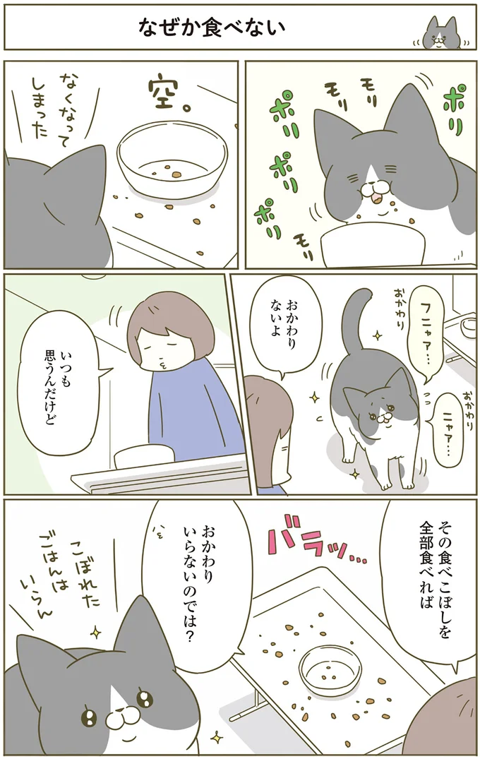 『うちの猫がまた変なことしてる。』1～4 15183235.webp