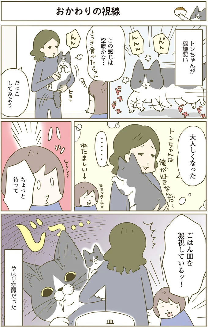 『うちの猫がまた変なことしてる。』1～4 15183252.webp