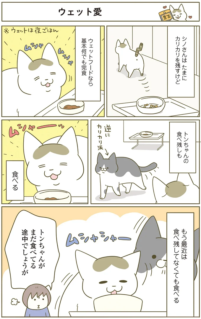 『うちの猫がまた変なことしてる。』1～4 15183258.webp