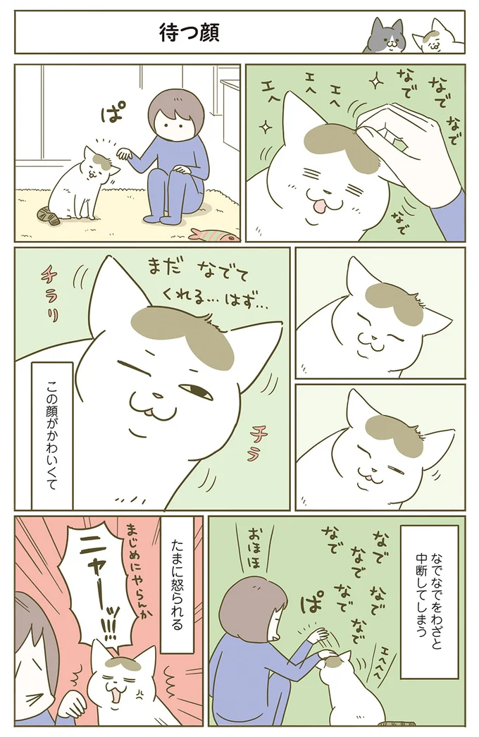 『うちの猫がまた変なことしてる。』5～8 15229235.webp