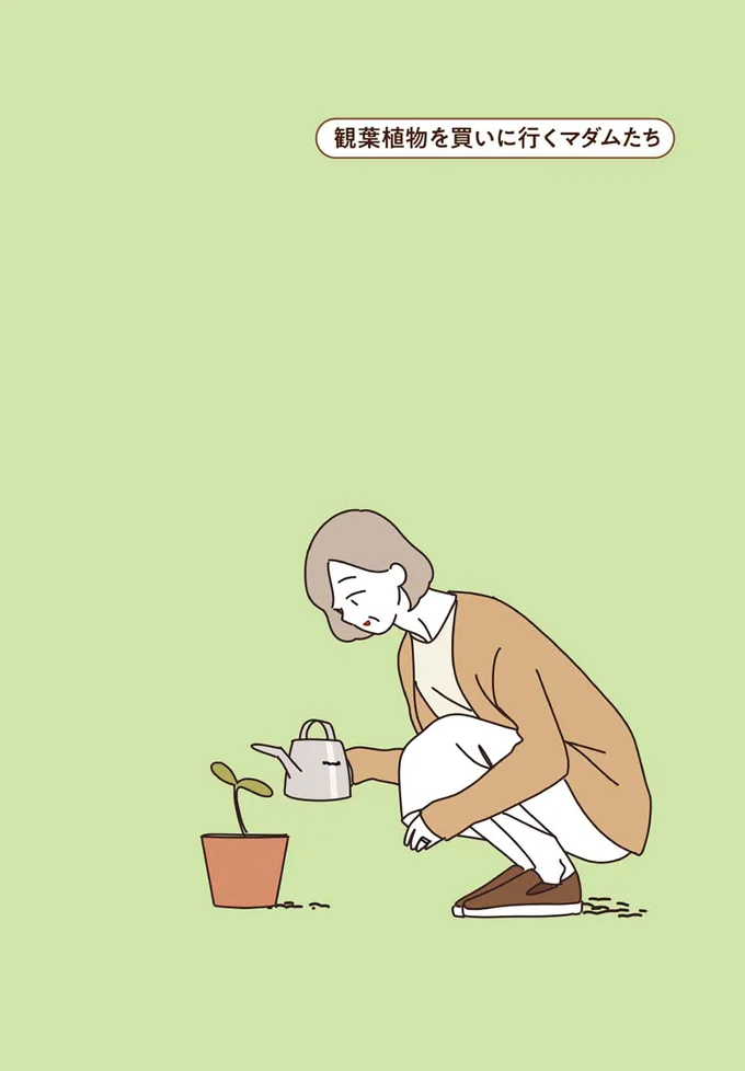 生活に必須ではないけれど、あると豊かになるもの。観葉植物とマダムたち／マダムたちのルームシェア3 15248282.webp