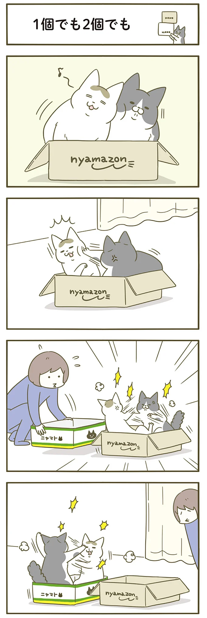 『うちの猫がまた変なことしてる。』5～8 15264519.webp