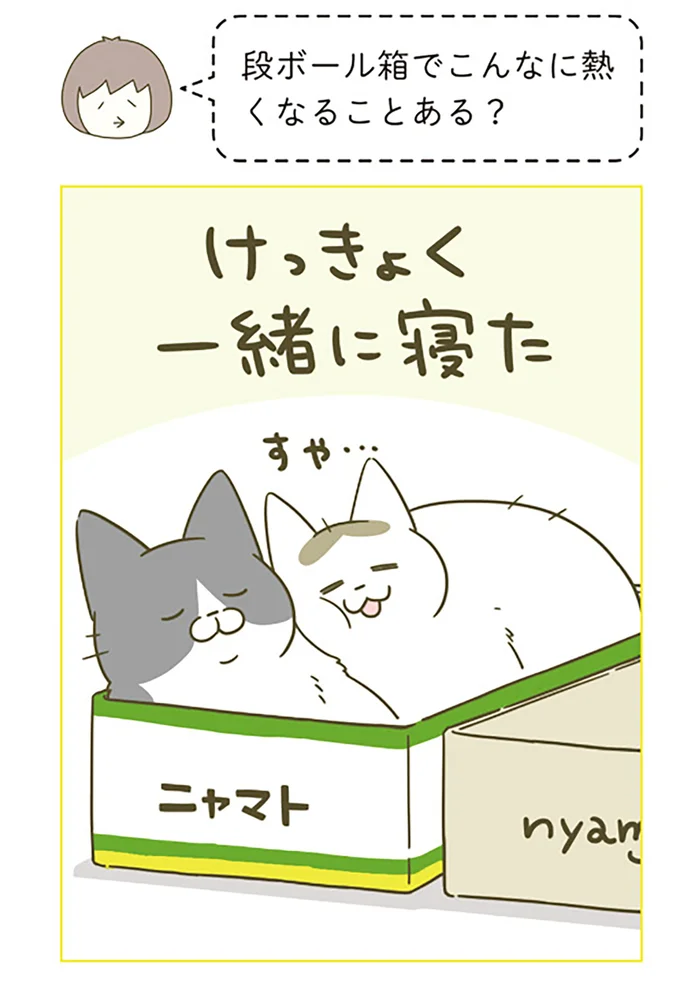 『うちの猫がまた変なことしてる。』5～8 15264520.webp