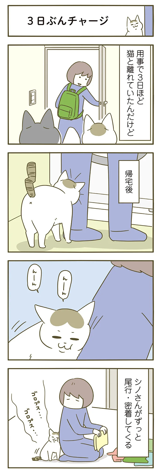 『うちの猫がまた変なことしてる。』5～8 15264536.webp