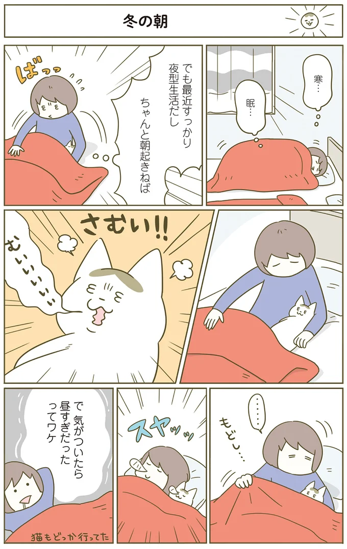 『うちの猫がまた変なことしてる。』5～8 15264543.webp