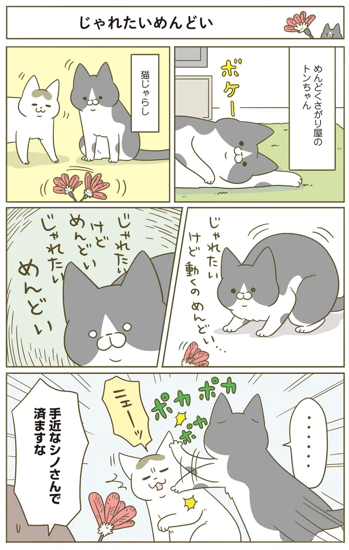 『うちの猫がまた変なことしてる。』5～8 15264548.webp