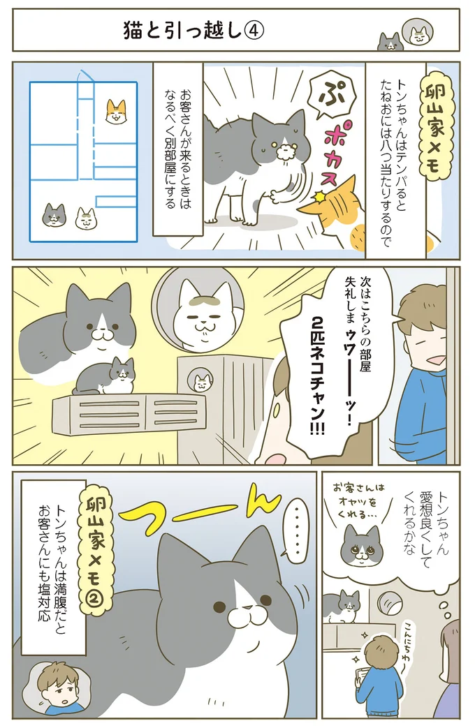 『うちの猫がまた変なことしてる。』5～8 15321076.webp