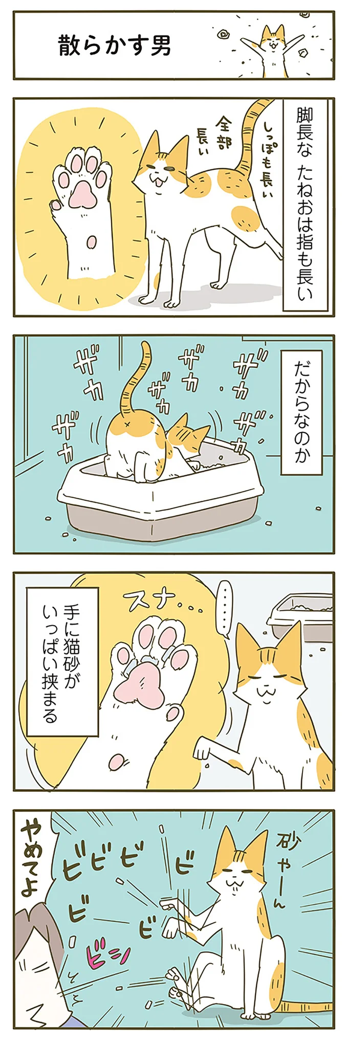 『うちの猫がまた変なことしてる。』5～8 15322116.webp