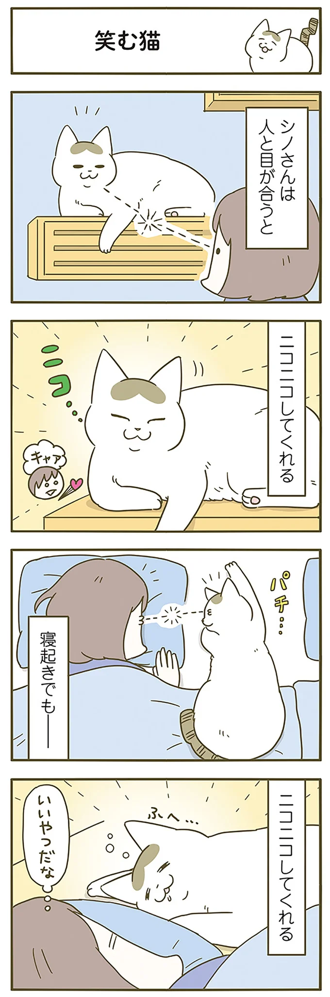 『うちの猫がまた変なことしてる。』5～8 15322123.webp