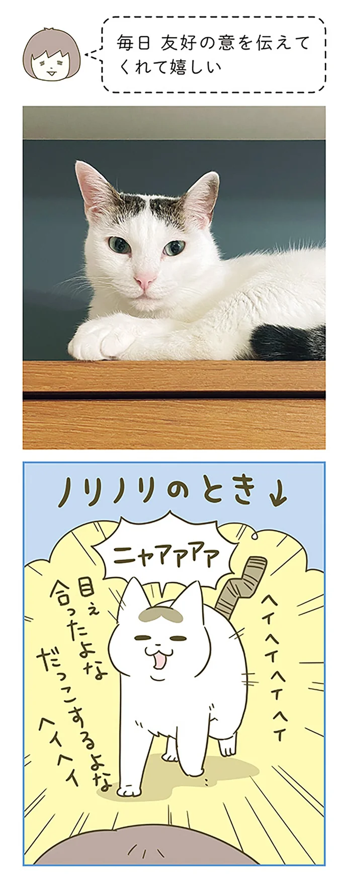 『うちの猫がまた変なことしてる。』5～8 15322124.webp
