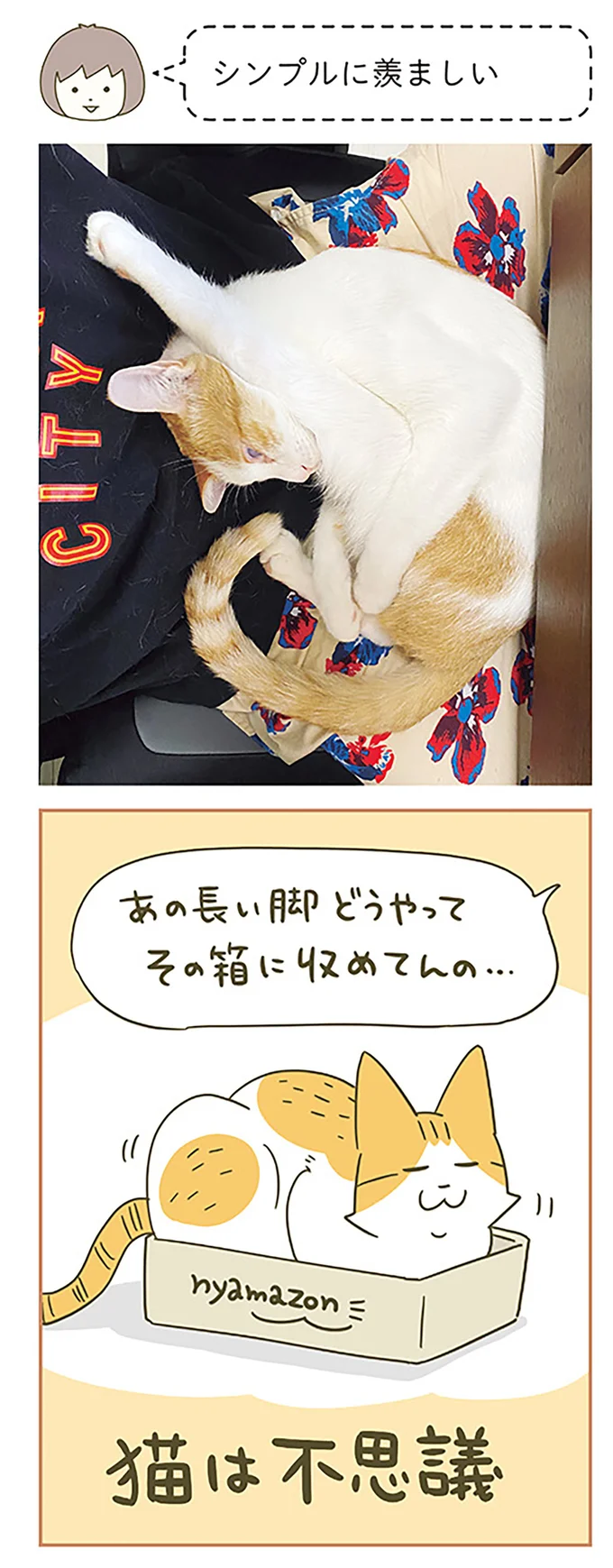 『うちの猫がまた変なことしてる。』5～8 15322126.webp